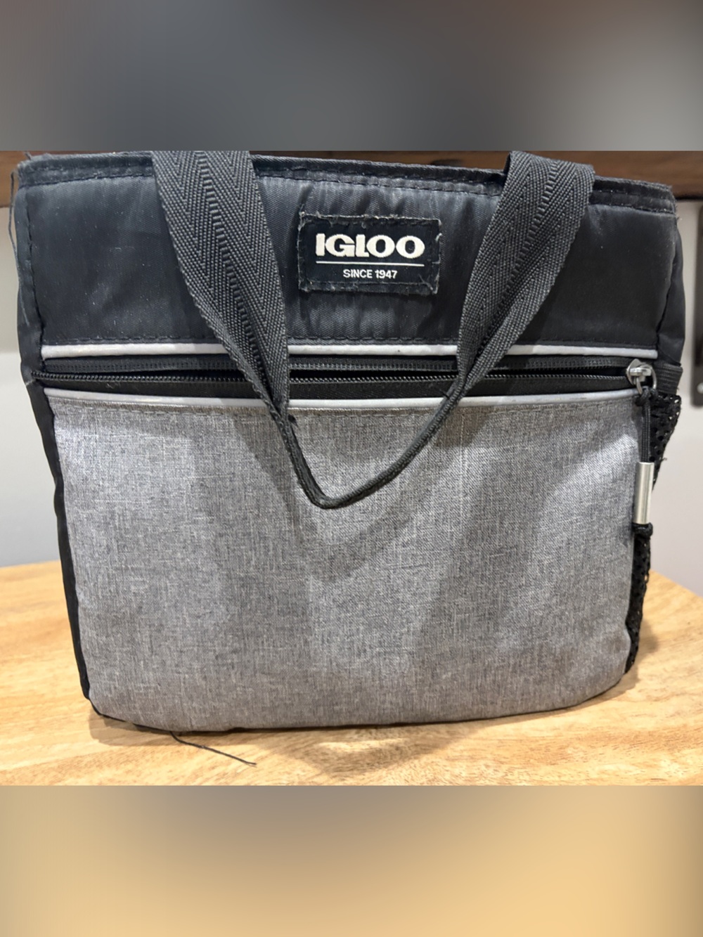Igloo Black and Gray Men’s Travel Cooler Bag
